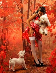 miniatura 20 foto de Sergio Russo