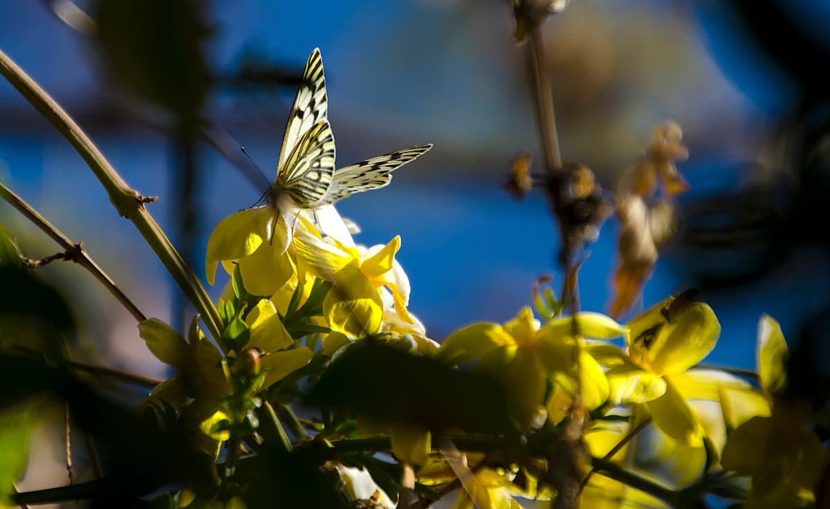 Sergio-russo-photography 7